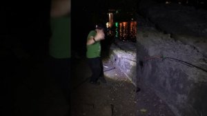 Дон. Ночная рыбалка #shorts #viral #fishing #top #рыбалка #рыбалканафидер #лещ #топ #рекомендации