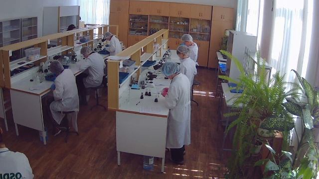 Демонстрационный экзамен ЛХА