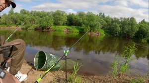 Рыбалка на поплавок и крокодил