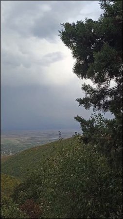 Вид на Сигнахи и Алазанскую долину