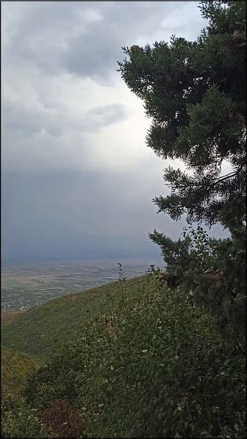 Вид на Сигнахи и Алазанскую долину