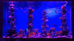 Карина Таро в прямом эфире! Выпуск 18.06.2025