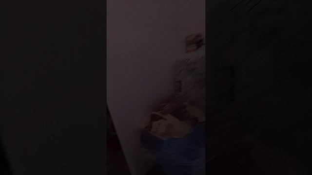 Прятки! 🙂👍