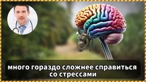 Память как у рыбы? Что важно знать чтобы не стать глупее!