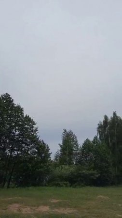 Красота вокруг в лесу на природе в Клязьминской пойме