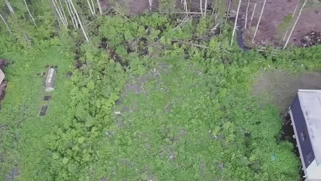 В продаже земельный участок 10 сот в СНТ Алмаз! Талажский район, Архангельск