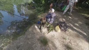 Летняя рыбалка на Старой Кубани: Тиляпия, Солнечный остров и новые приключения!.