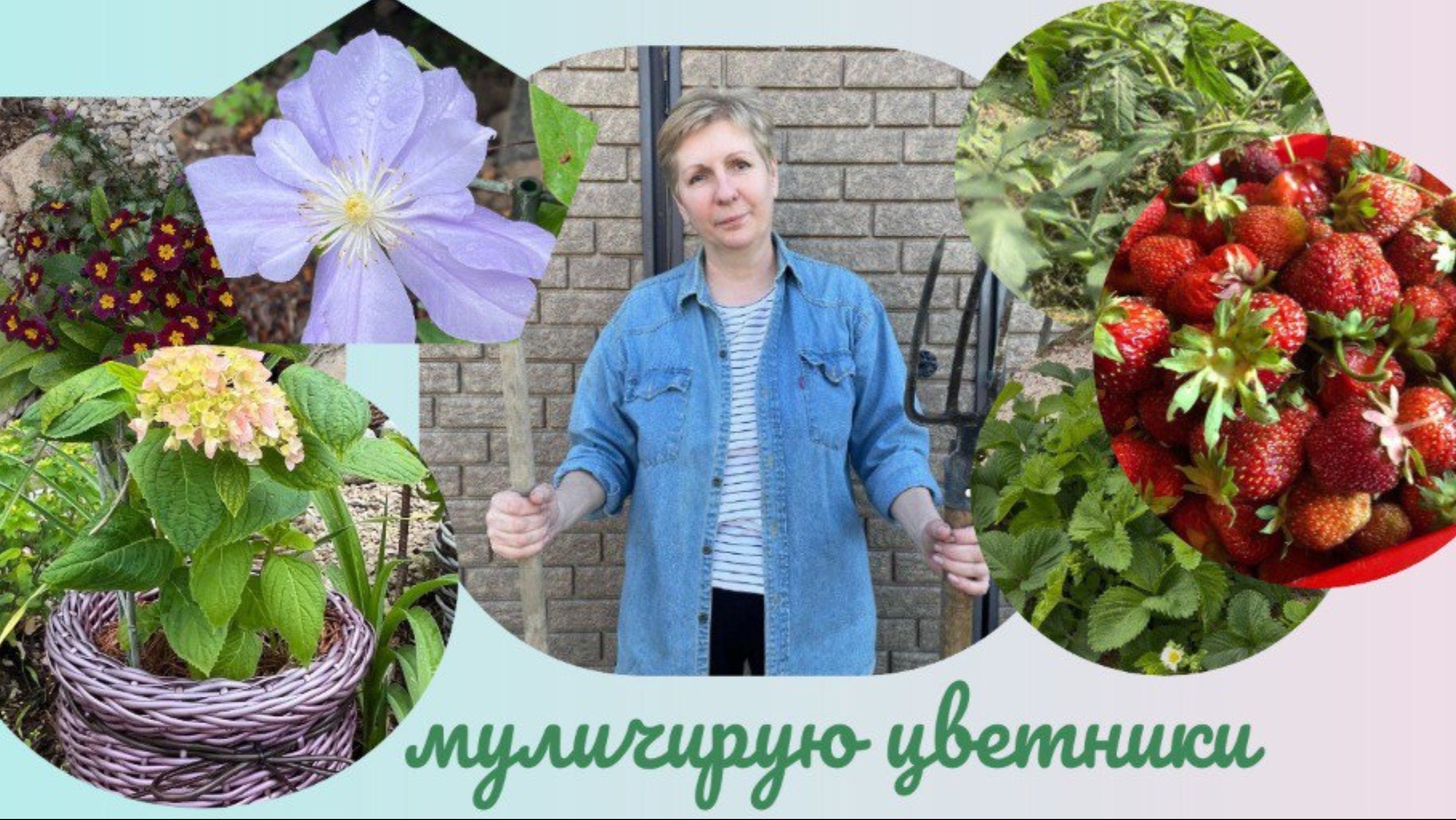 Цветники без сорняка | Что я делаю чтобы не росла трава