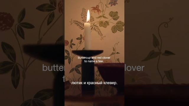 Хотите выйти замуж? Вот вам лайфхак!