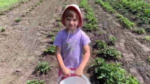 пятый выпуск Четыре сезона