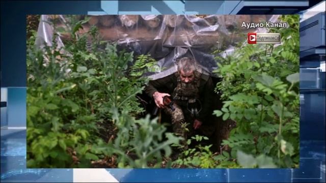 Сырский, где укрепления?   Окопы боевиков ВСУ превратились в болота
