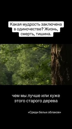 Ясность в тишине ума. Когда ум успокаивается, приходят ответы: кто ты, зачем ты, куда идёшь?