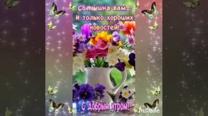 Доброе Летнее Утречко!