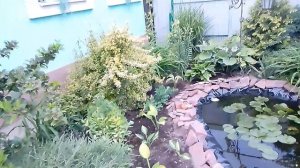 🛠️🌿💧 Благоустройство декоративного пруда: высадка хост, чубушник и вечерний уют 🌙✨