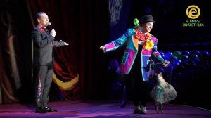 Куклачёвы. Анонс. Канал В Мире Животных