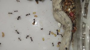 4 сентября 2023 г.(2)