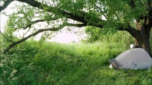 выгул палатки