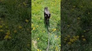 А жизнь быстро убегает с вечность...