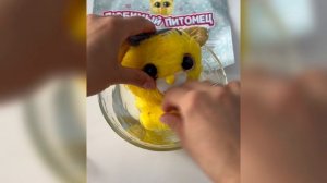 Любимый питомец. Лучший друг для вашего малыша🥰🥰🥰