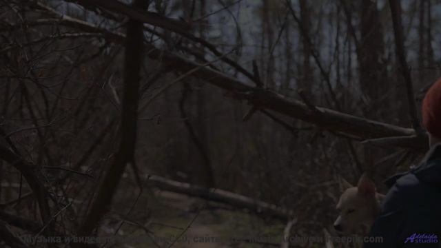 Мелодия, танцующая с ветром! - Sunrise -- Luise Frentzel -- Unnamed album