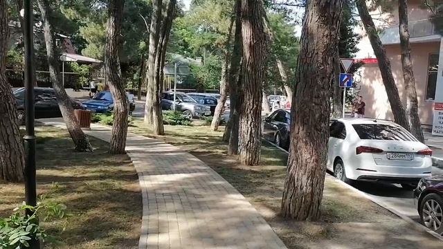 Каждый участок земли облагораживают и делают удобным для людей. Геленджик.