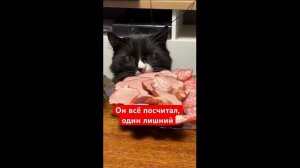 Кот посчитал куски и нашёл лишний кусочек (uu)