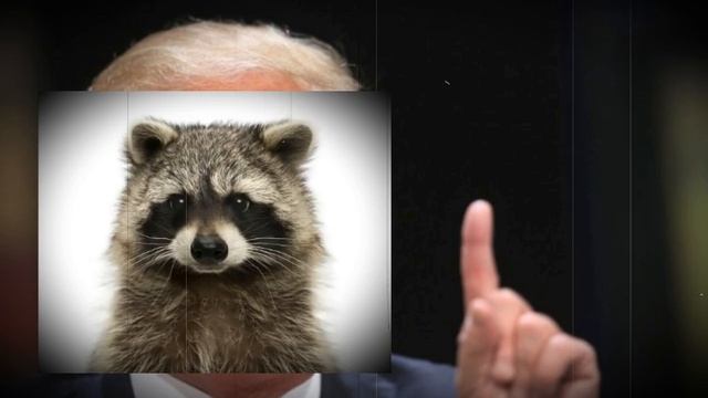 Трамп идиот?..