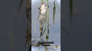 тенденции дня