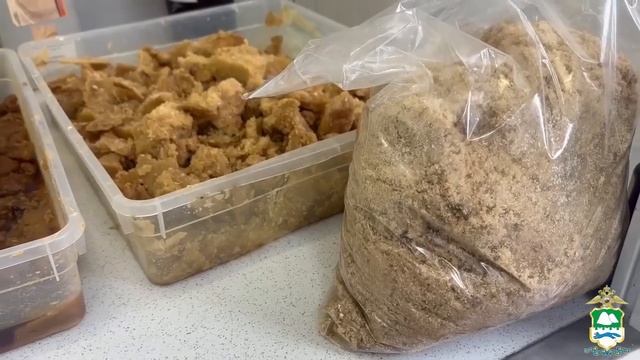 В Курганской области ликвидирована нарколаборатория !!!