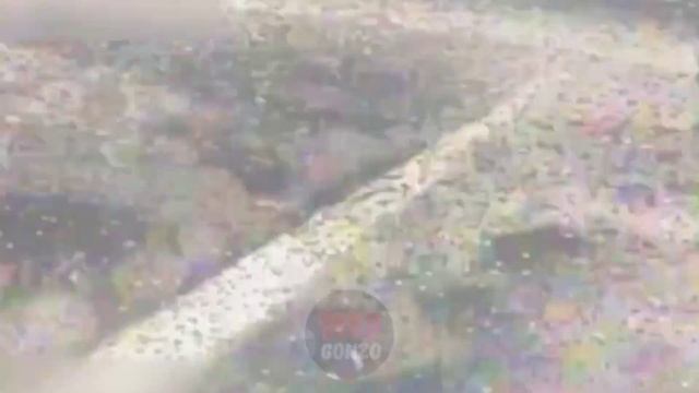 Дроноводы гоняют ВСУ по лесополосам Запорожского фронта