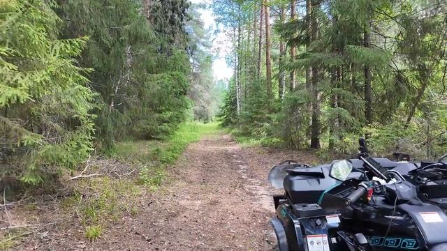 ТАИНСТВЕННАЯ НАХОДКА В ЛЕСУ — Теперь надо думать, как вытащить её из дебрей...