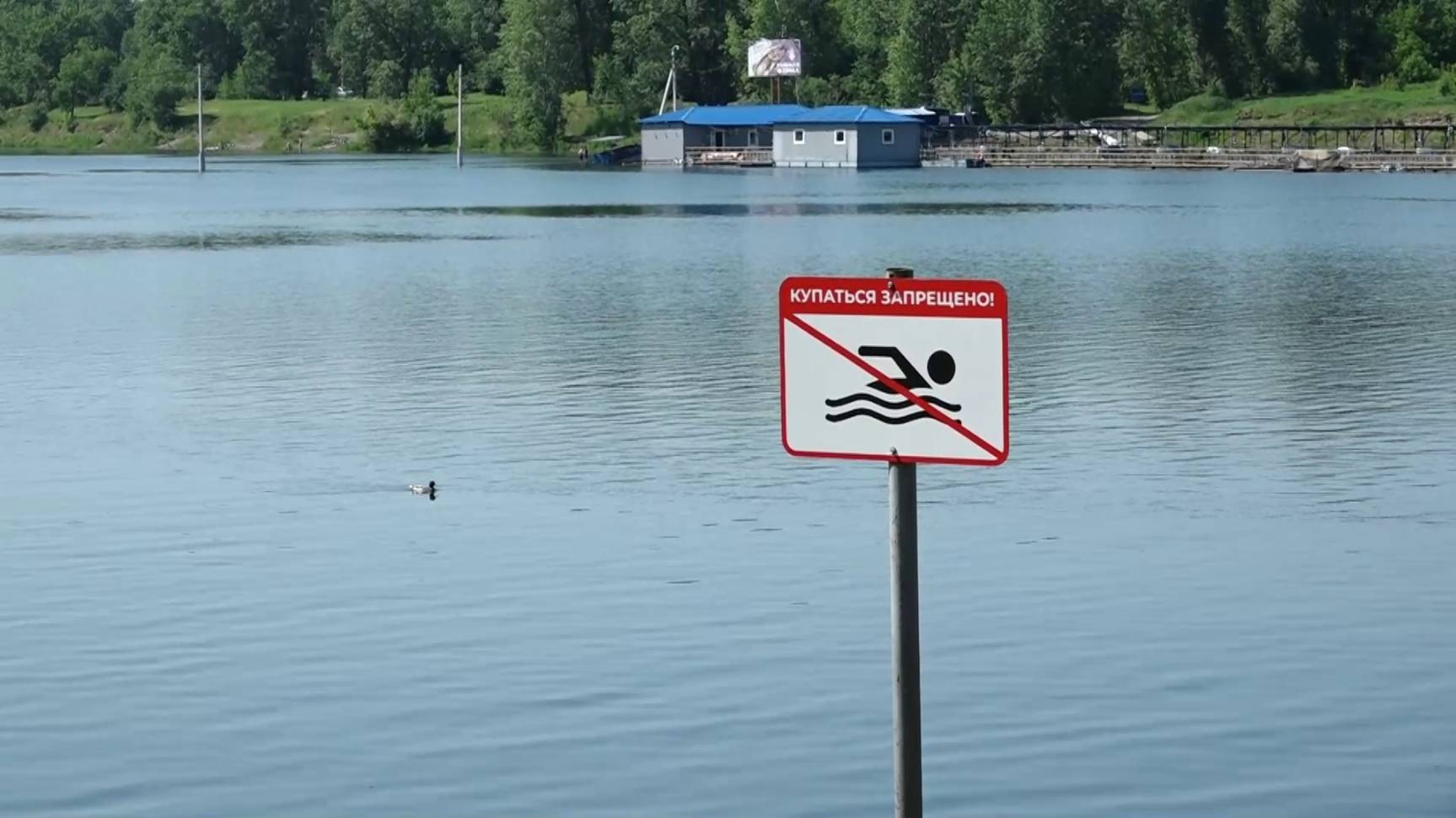 КУПАТЬСЯ ХОЧЕТСЯ, НО НЕЛЬЗЯ