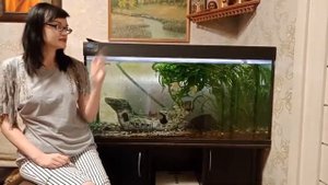 Как рыбы дышат под водой