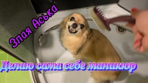 Делаю маникюр обычным лаком! Чешу злую Аську!