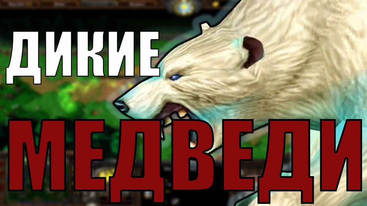 БЕШЕНЫЕ МЕДВЕДИ В SURVIVAL CHAOS WARCRAFT