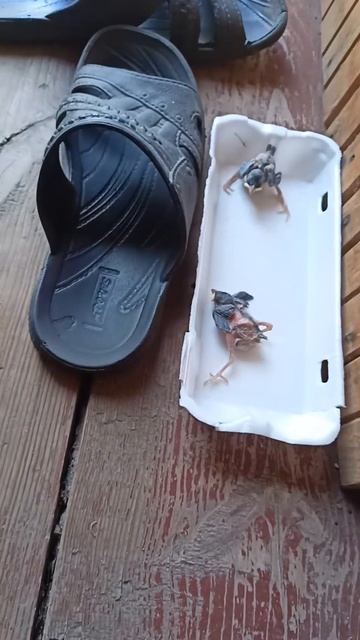 деревня смотреть онлайн