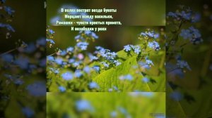 🏝️🏠ЦВЕТОВ ВОЛШЕБНЫХ КРАСОТА 💮🌸🌼
#видеостихи #цветы