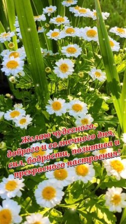 хорошего дня