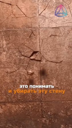 Любовь проявится в вашей жизни. Бредли Нельсон