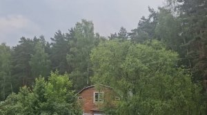 ЧТО ВИДИТ СЛЕПОЙ ГЛАЗ...