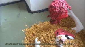 Творение 7 Очередной шедеврик западного искусства