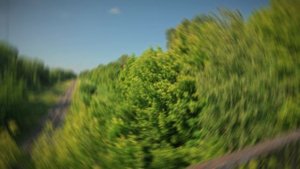 ИВАНОВО в гостях