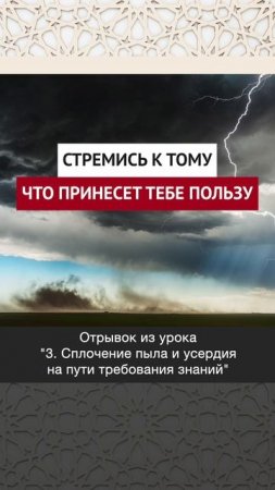Стремись к тому, что принесет тебе пользу || Динар абу Идрис #ислам #факты #истина #вера #коран #рай