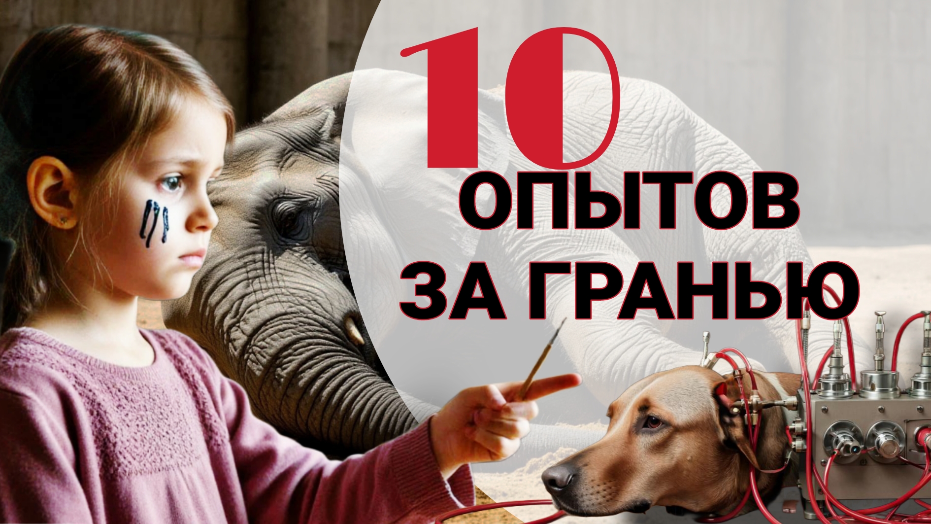 НАУЧНЫЕ КОШМАРЫ: Безумные опыты XX века