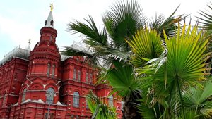 Водопад и пальмы появились в центре Москвы на Манежной площади!