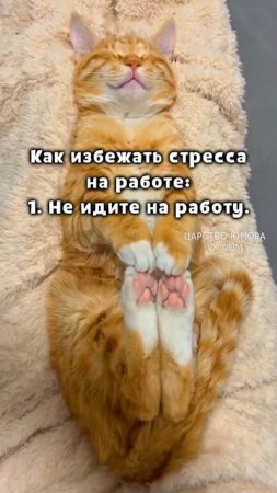 Хорошая мысль!