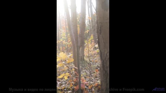 Пейзажи взрываются эмоциями вместе с этим треком - INVOCACION A LOS ANUNNAKIS -- Compadre Locura --