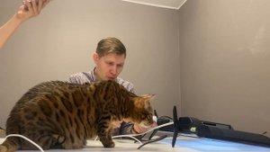 Как подключить внешнее устройство к телевизору Hartnes