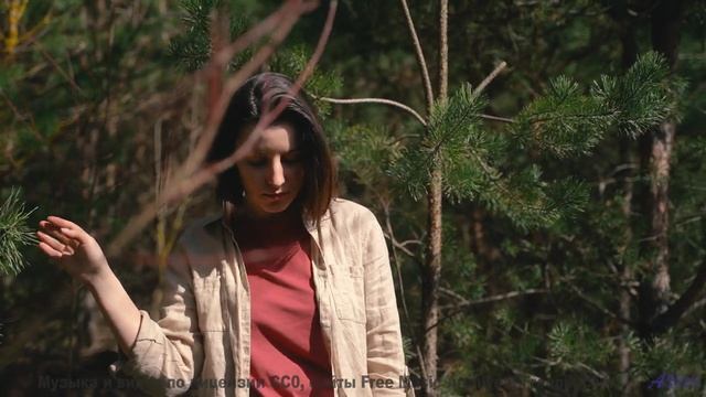 Это видео - лекарство от всех грустных дней! - Pastures -- Ketsa -- As Above So Below
