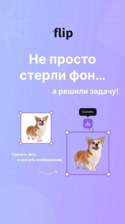 Не просто стерли фон, а решили задачу!